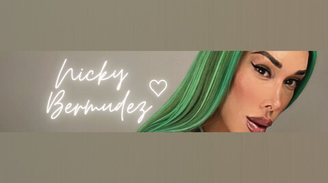 Nickybermudez cover image