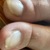 NicolesFootBarn avatar