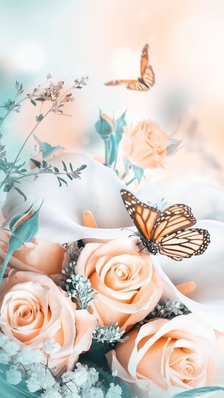 Nicole banner image