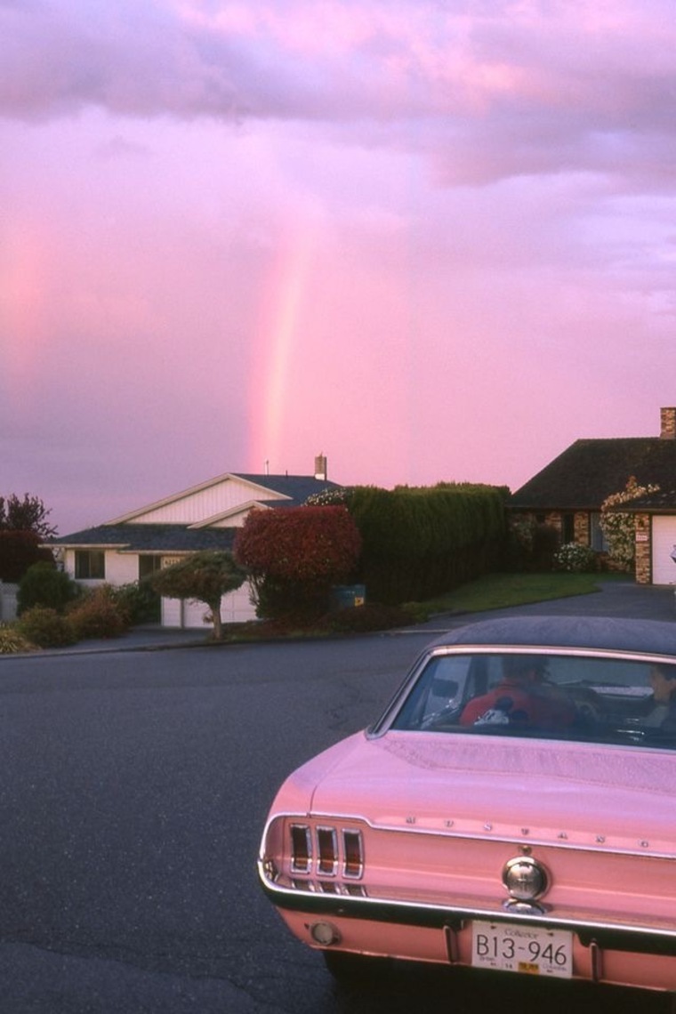 nicotinegrandma banner image