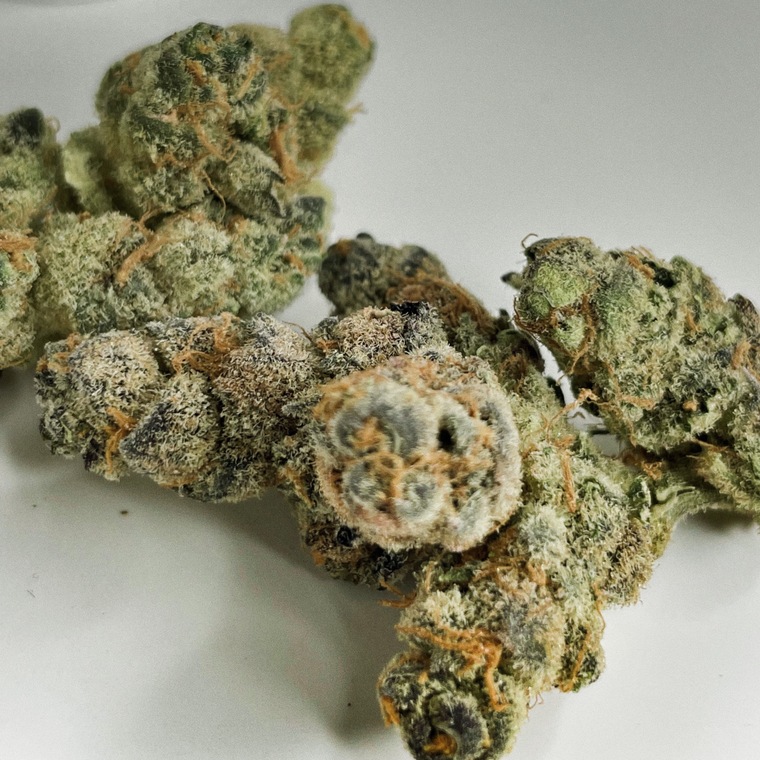 Nicsofia420 cover image