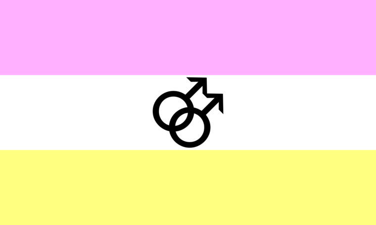 NIGayGuy banner image