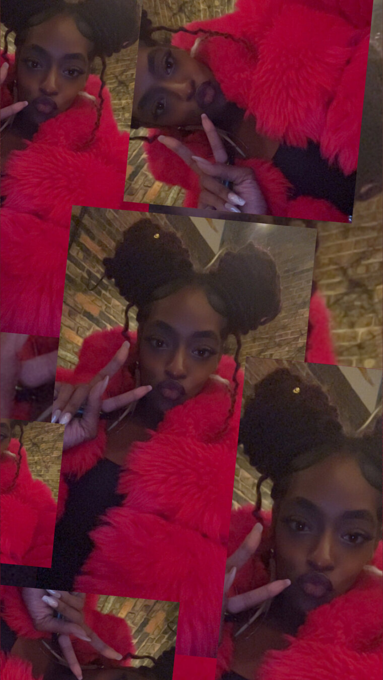 Nigerian Gypsy cover image