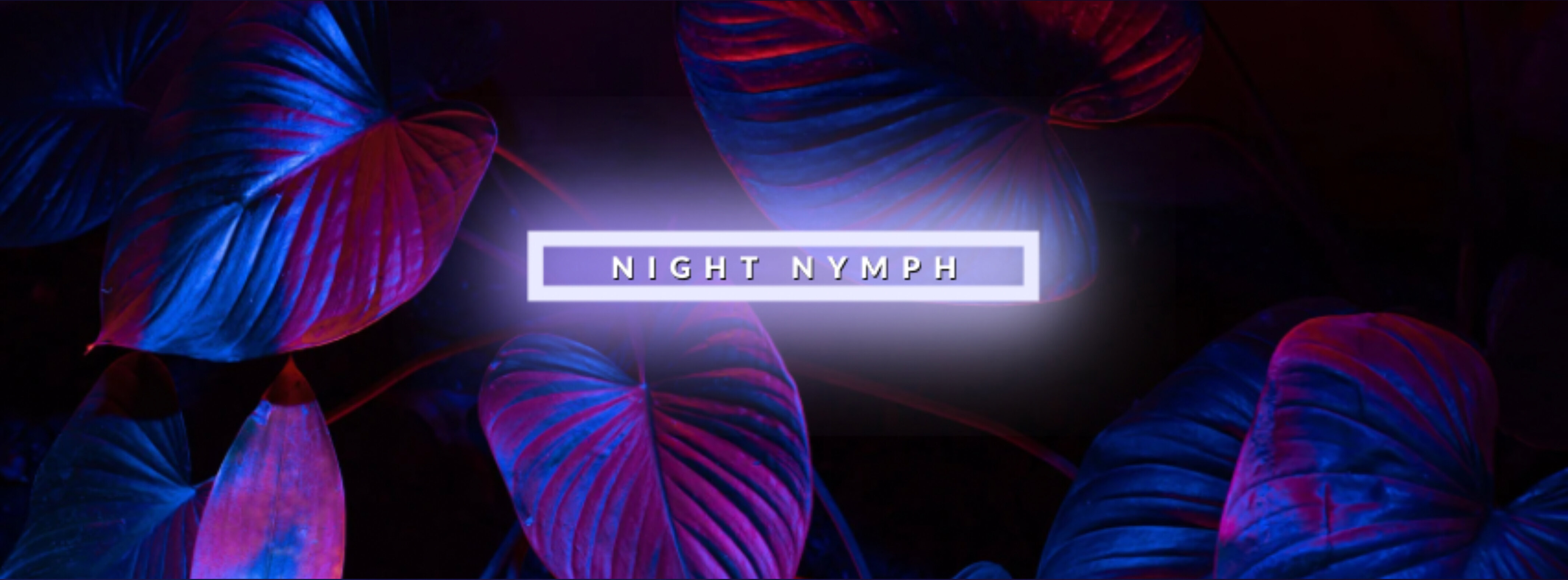 NightNymph banner image