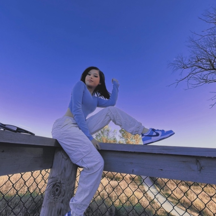 Nikki cover image