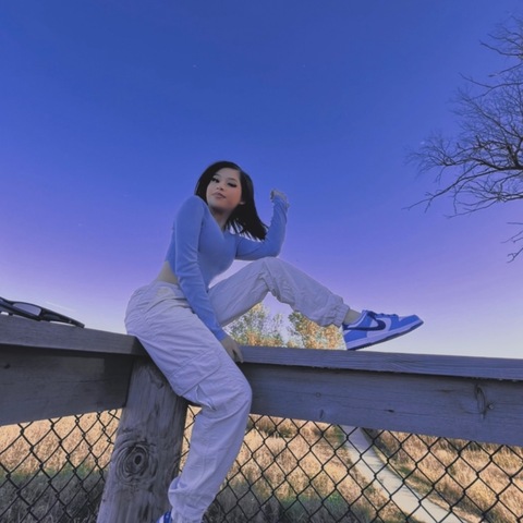Nikki cover image
