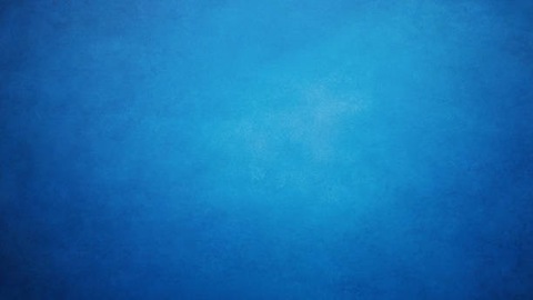 Nikki cover image