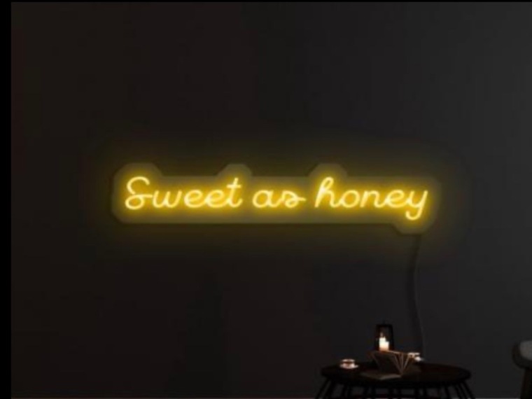 🍯 Nikki Honey 🍯 cover image