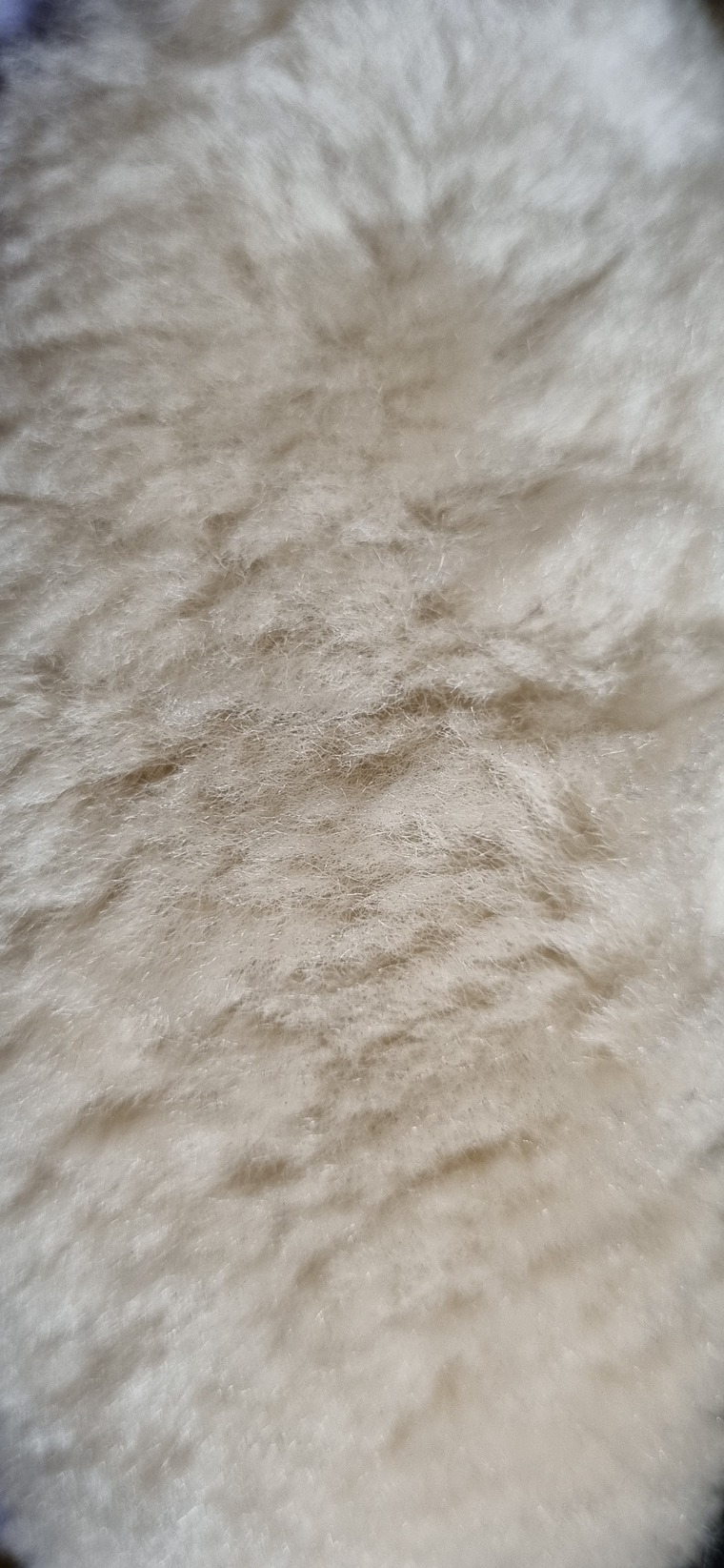 NikkiCaseyFeet banner image