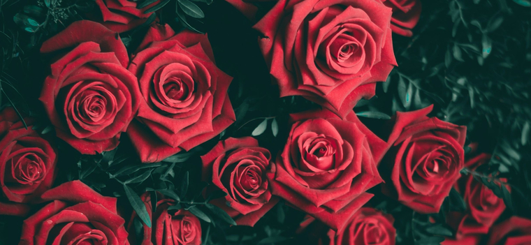 Nikki Macs cover image