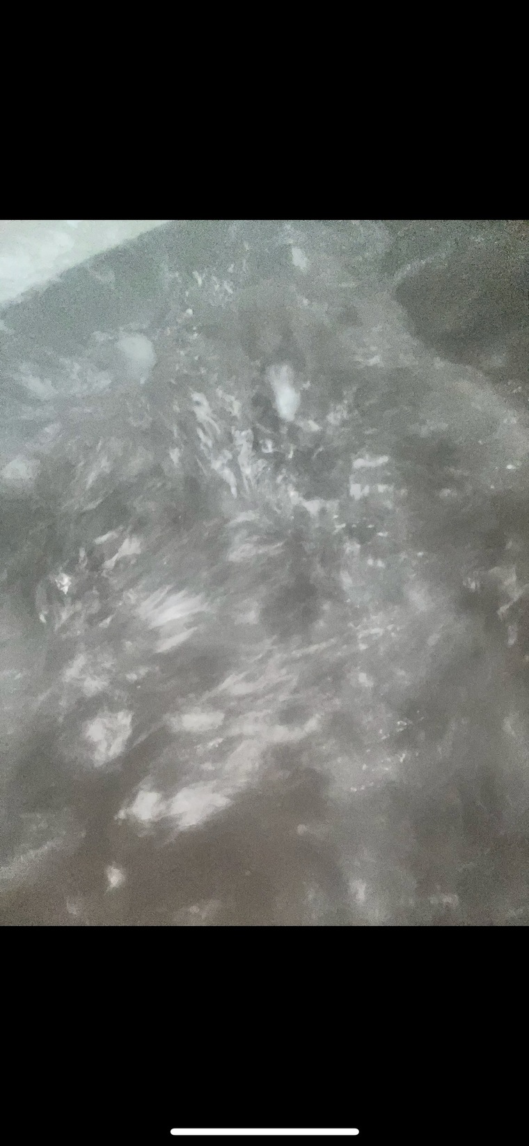 Nikol.01h cover image