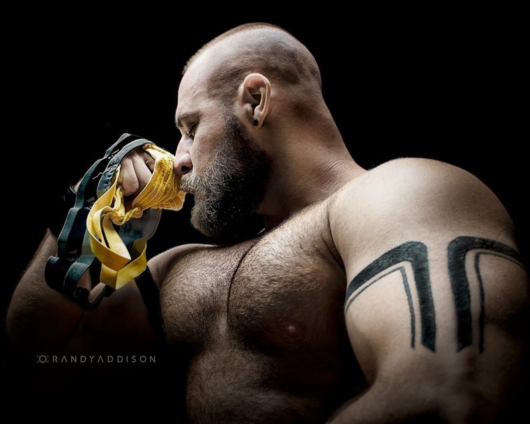 Niks ShapeUp💪🏼🐻 banner image