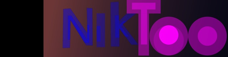 NikToo cover image