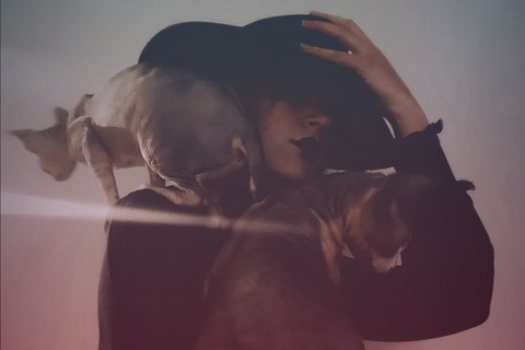 Nila Canadia cover image