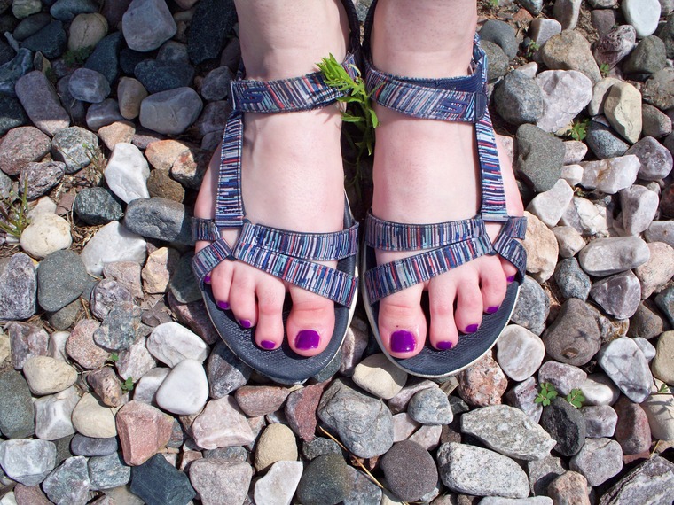 Thimble Toes cover image