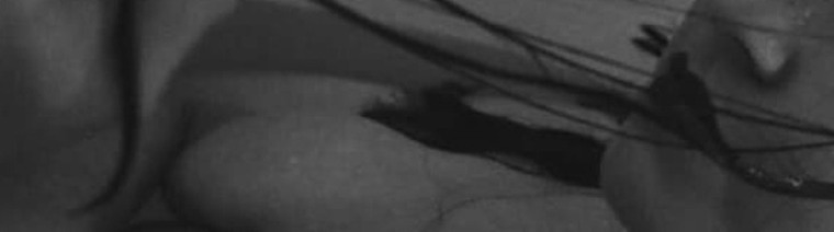 Nina Cur7is banner image