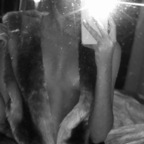 Ninfets avatar