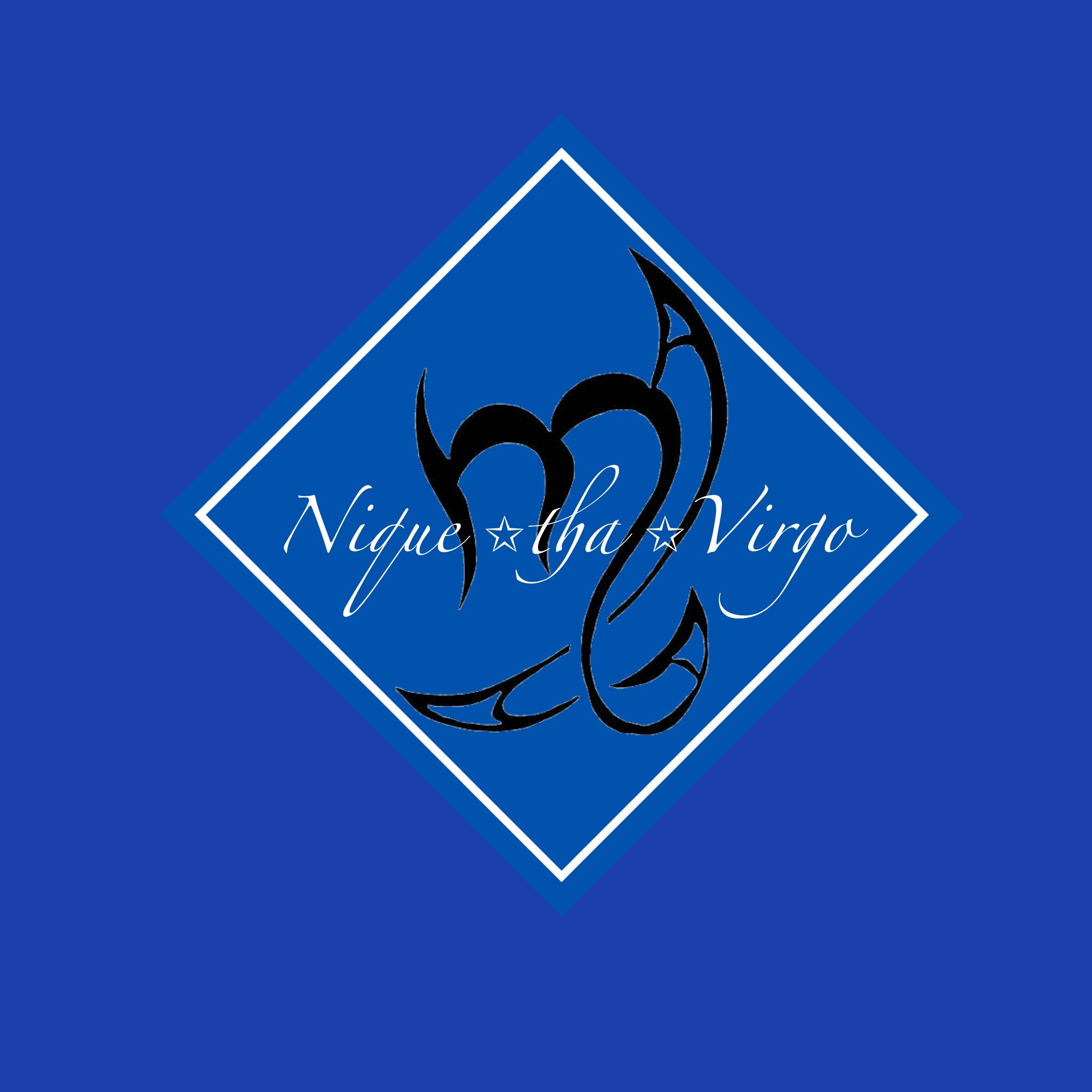 Niquethavirgo banner image