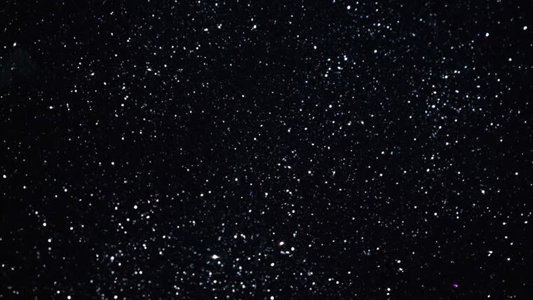 PlusSizedShawty banner image