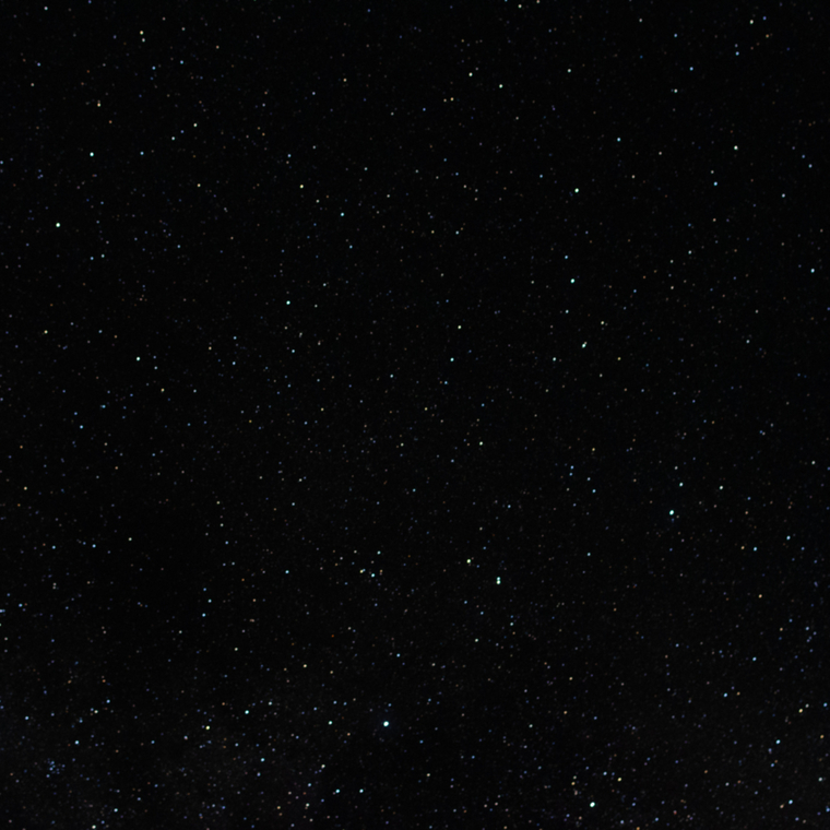 Nite Dweller cover image