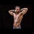 Nitzan Mizrachi avatar