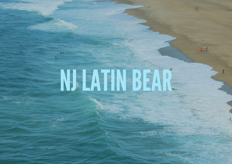 NJLatinBear banner image