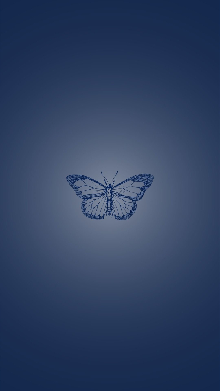 NAE🦋 cover image