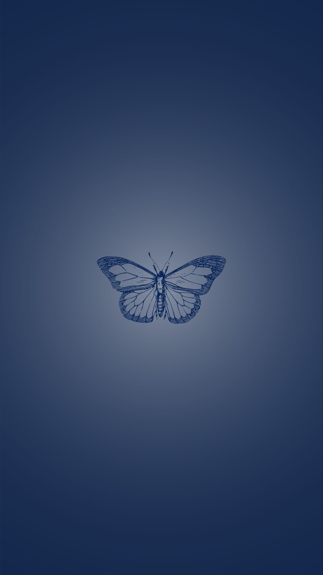 NAE🦋 banner image