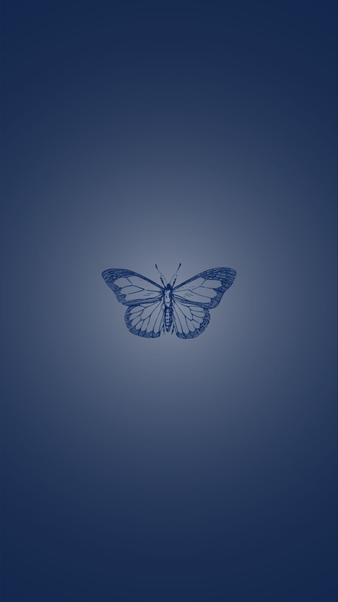 NAE🦋 cover image