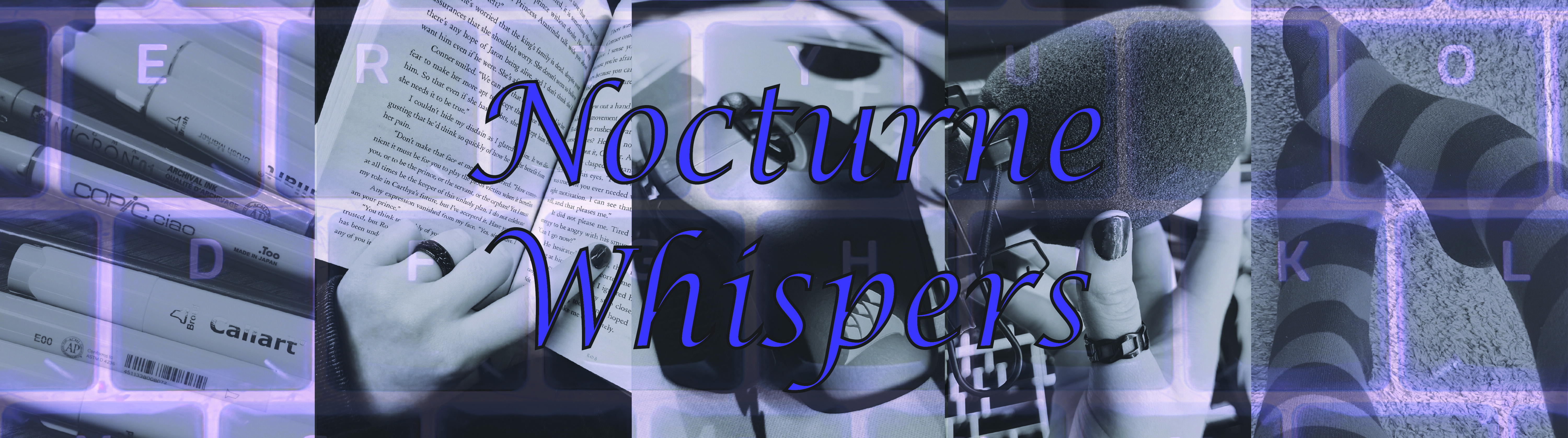 Nocturne Whispers banner image