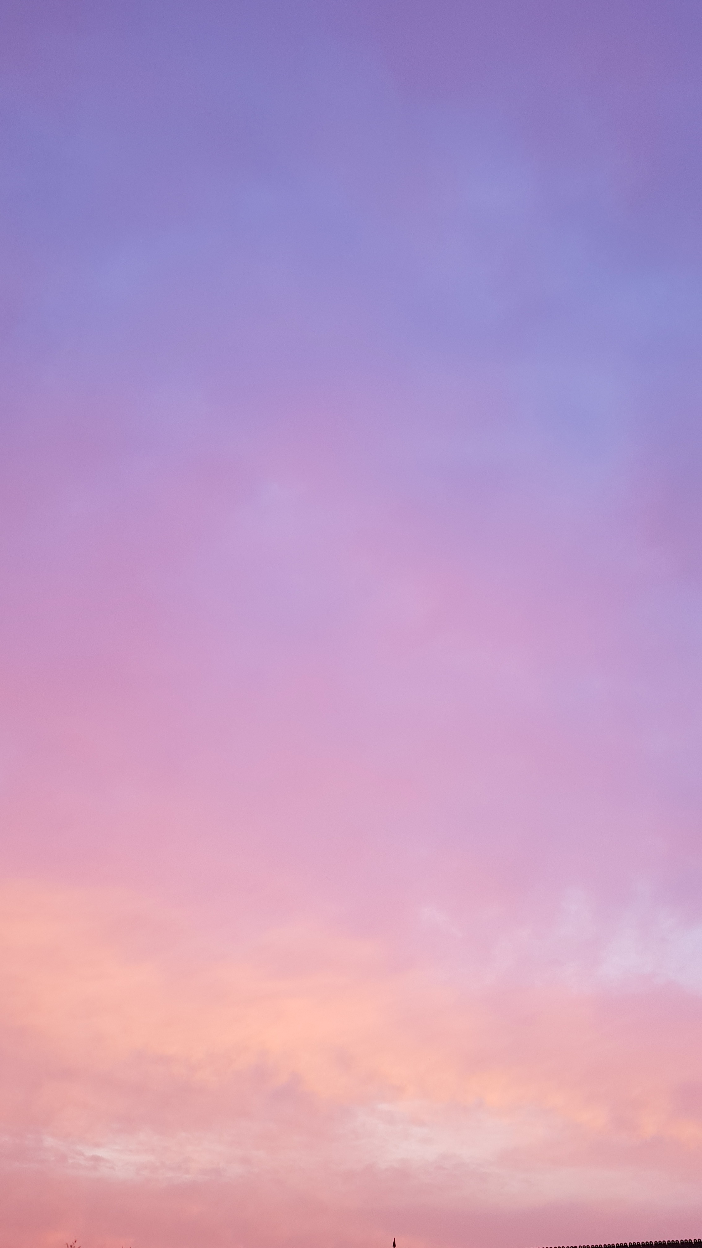 Noceur banner image