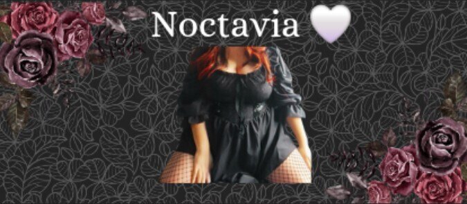 Noctavia banner image