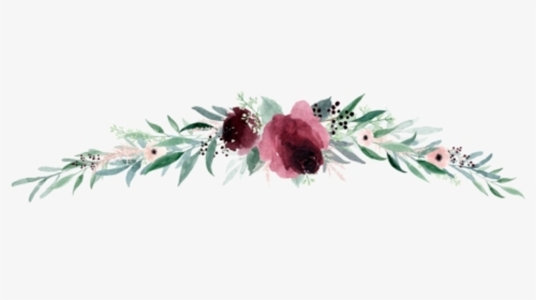 Nocturnal banner image