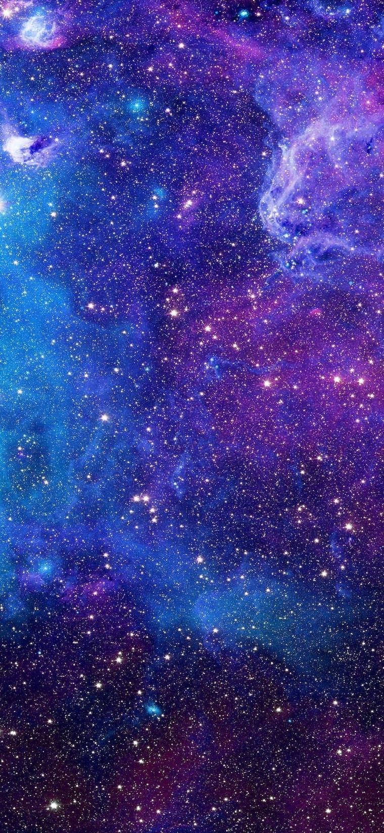 Nocturnal Sunrise banner image