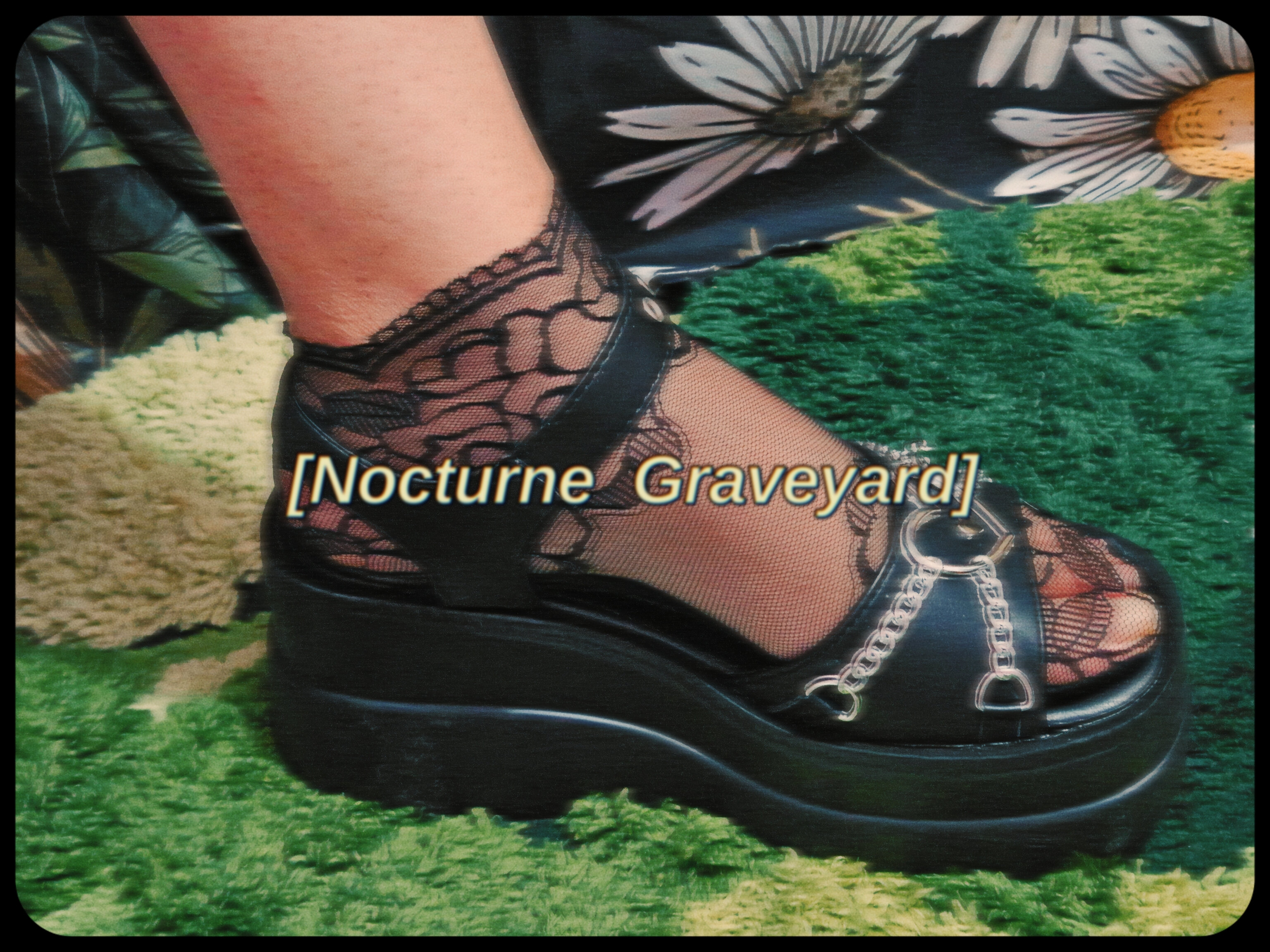 Nocturne banner image