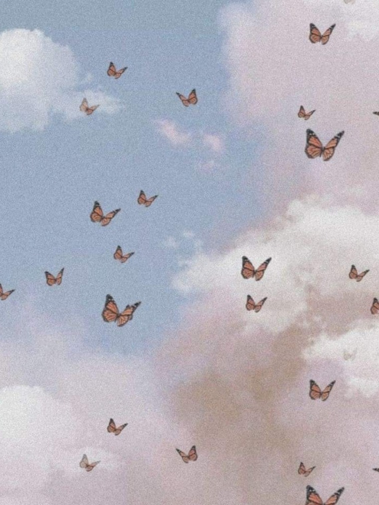 noelia banner image