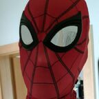 NoelSpiderboy avatar