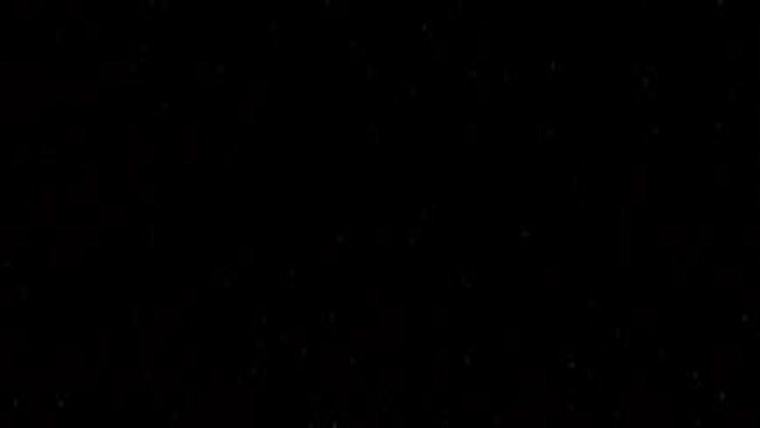 Noemi Queen banner image