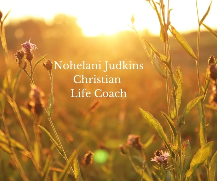 Nohelani Judkins banner image