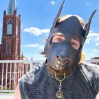 nomadpup avatar