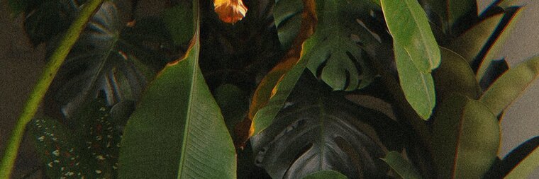 Khim cover image