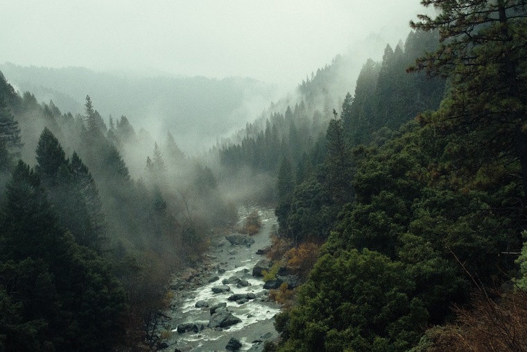 NonKnowAccount cover image