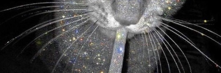 Nooah banner image