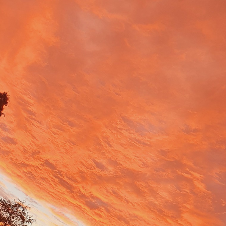 Zlaya banner image