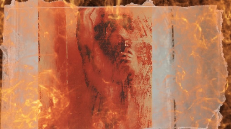 NoozieBoy banner image