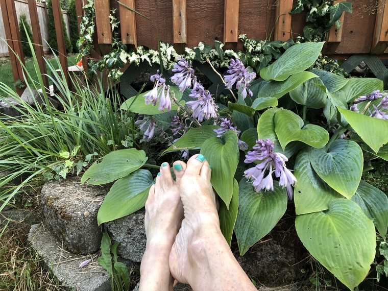 No Pussi Foot'n Around banner image