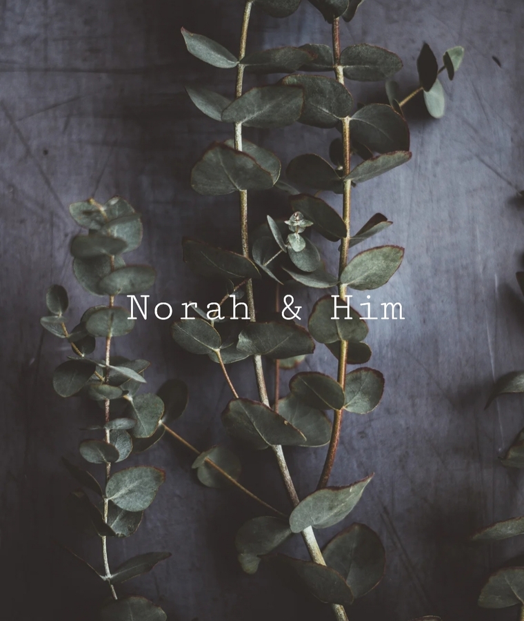 Norah & Him cover image