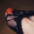 Nora's Nibbles avatar