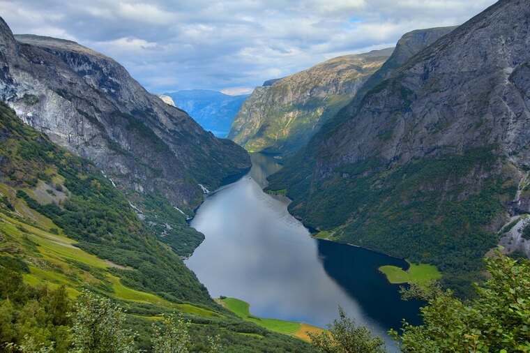 Nordic_Viking banner image