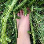 NordicBareToes avatar